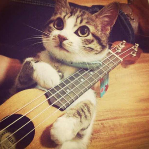 淫荡妈妈口交黑人阳具视频
